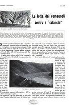 giornale/TO00183200/1933/v.1/00000253