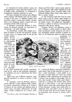 giornale/TO00183200/1933/v.1/00000288