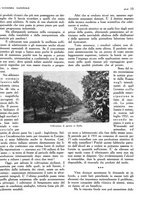giornale/TO00183200/1933/v.1/00000421