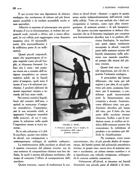 L'economia nazionale rassegna ebdomadaria di politica, commercio, industria, finanza, marina, e assicurazione