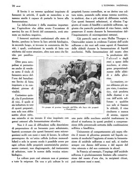 L'economia nazionale rassegna ebdomadaria di politica, commercio, industria, finanza, marina, e assicurazione