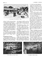 giornale/TO00183200/1933/v.1/00000512