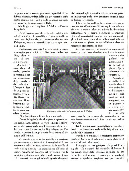 L'economia nazionale rassegna ebdomadaria di politica, commercio, industria, finanza, marina, e assicurazione