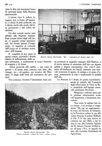 giornale/TO00183200/1933/v.2/00000062