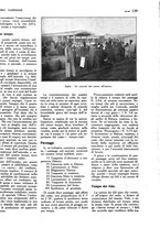 giornale/TO00183200/1933/v.2/00000153