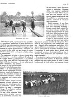 giornale/TO00183200/1933/v.2/00000847