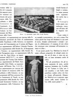 giornale/TO00183200/1933/v.2/00001089