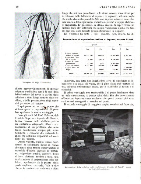 L'economia nazionale rassegna ebdomadaria di politica, commercio, industria, finanza, marina, e assicurazione