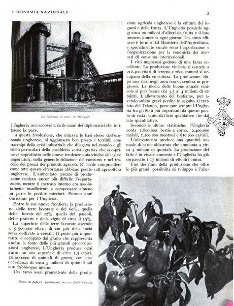 L'economia nazionale rassegna ebdomadaria di politica, commercio, industria, finanza, marina, e assicurazione