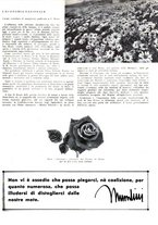 giornale/TO00183200/1936/unico/00000325