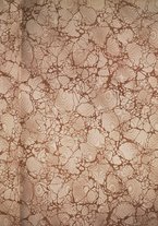 giornale/TO00183551/1908/v.1/00000003