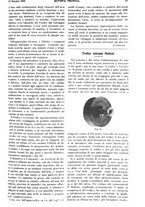 giornale/TO00183551/1908/v.1/00000049