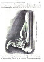 giornale/TO00183579/1872/v.2/00000075