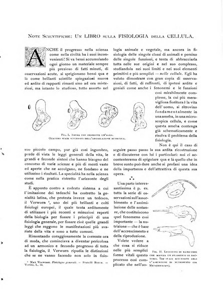 Emporium rivista mensile illustrata d'arte, letteratura, scienze e varietà