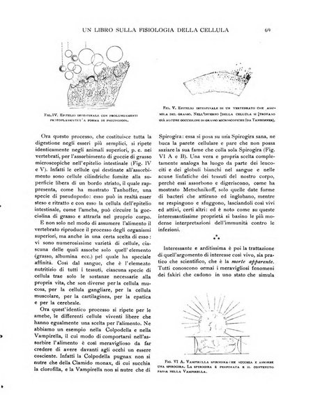 Emporium rivista mensile illustrata d'arte, letteratura, scienze e varietà