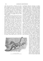 giornale/TO00183580/1899/unico/00000420