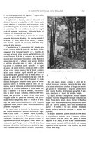 giornale/TO00183580/1901/V.14/00000335