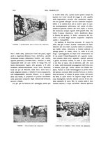 giornale/TO00183580/1903/V.18/00000238