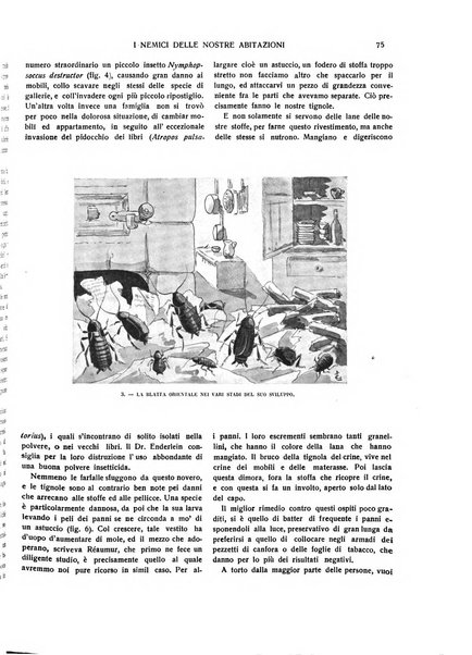 Emporium rivista mensile illustrata d'arte, letteratura, scienze e varietà