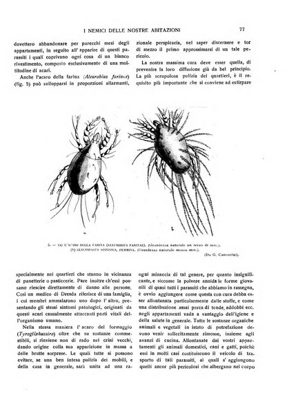 Emporium rivista mensile illustrata d'arte, letteratura, scienze e varietà