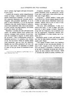 giornale/TO00183580/1909/V.29/00000367