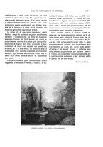 giornale/TO00183580/1909/V.30/00000185