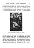 giornale/TO00183580/1909/V.30/00000227