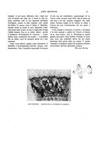 giornale/TO00183580/1910/V.31/00000039