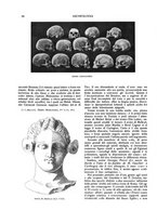 giornale/TO00183580/1910/V.32/00000056