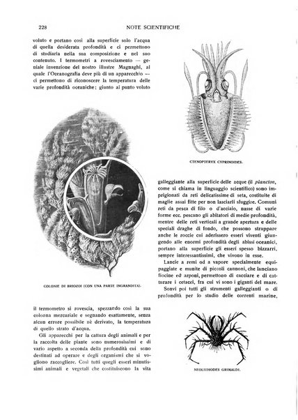 Emporium rivista mensile illustrata d'arte, letteratura, scienze e varietà