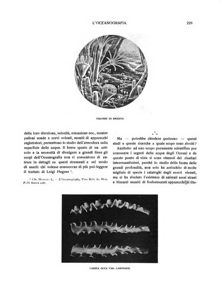 Emporium rivista mensile illustrata d'arte, letteratura, scienze e varietà