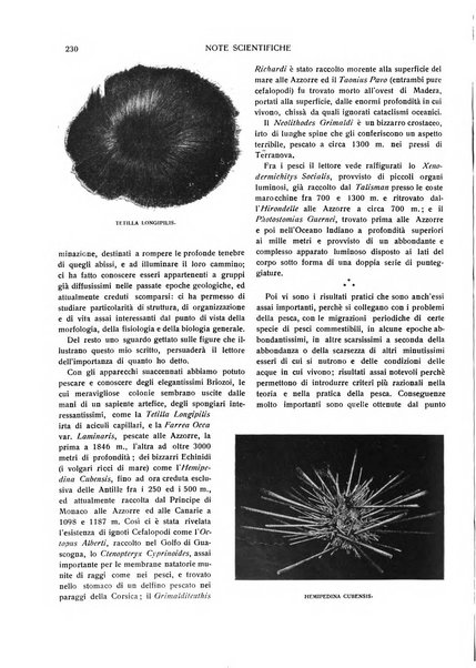 Emporium rivista mensile illustrata d'arte, letteratura, scienze e varietà