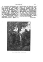 giornale/TO00183580/1912/V.36/00000155