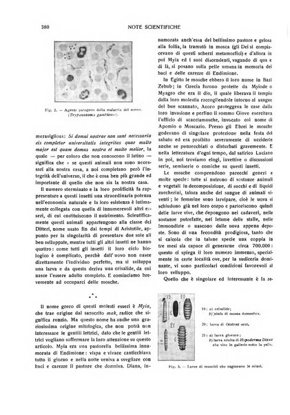 Emporium rivista mensile illustrata d'arte, letteratura, scienze e varietà