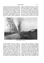 giornale/TO00183580/1914/V.39/00000511