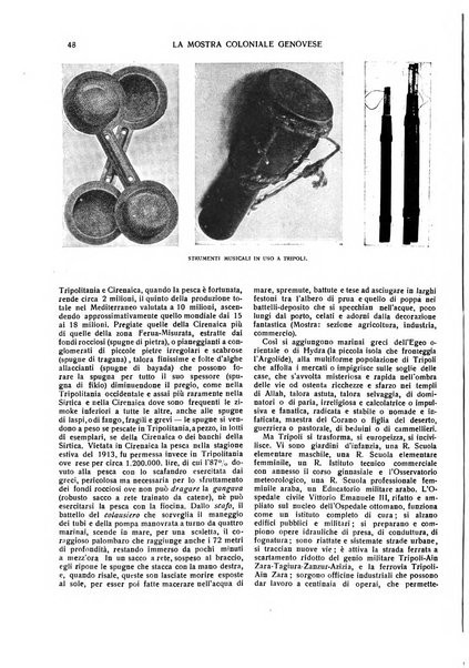 Emporium rivista mensile illustrata d'arte, letteratura, scienze e varietà