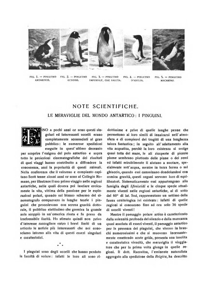 Emporium rivista mensile illustrata d'arte, letteratura, scienze e varietà