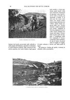 giornale/TO00183580/1917/V.45/00000072