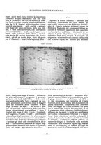 giornale/TO00183580/1919/V.49/00000093