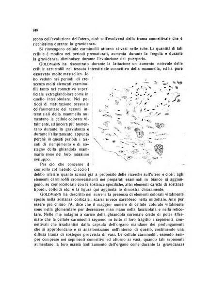 Endocrinologia e patologia costituzionale