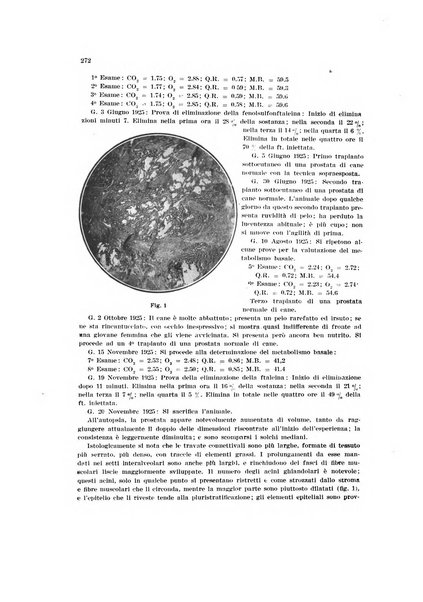 Endocrinologia e patologia costituzionale