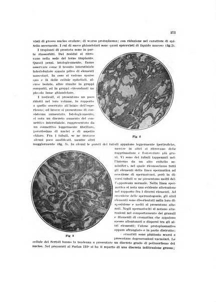 Endocrinologia e patologia costituzionale