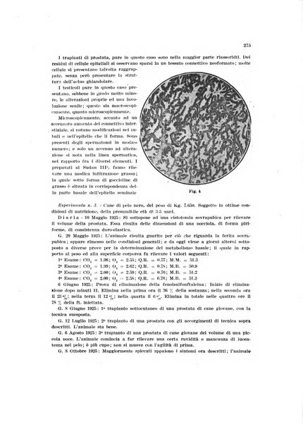 Endocrinologia e patologia costituzionale