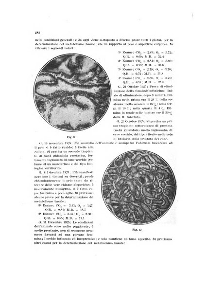 Endocrinologia e patologia costituzionale