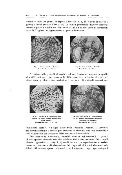 Endocrinologia e patologia costituzionale