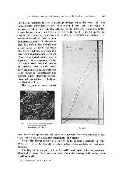 Endocrinologia e patologia costituzionale