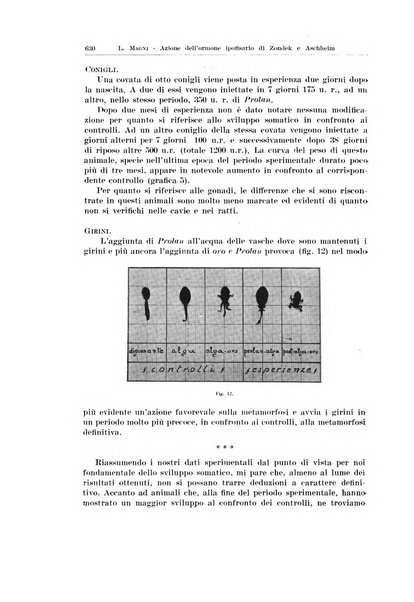 Endocrinologia e patologia costituzionale