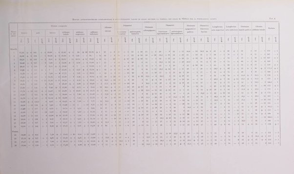 Endocrinologia e patologia costituzionale