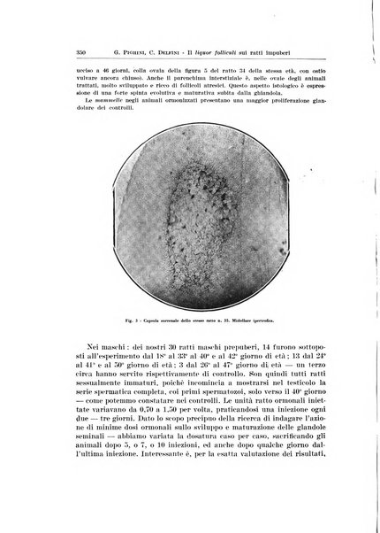 Endocrinologia e patologia costituzionale