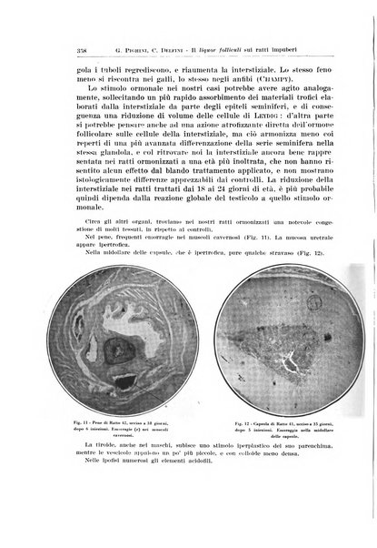 Endocrinologia e patologia costituzionale